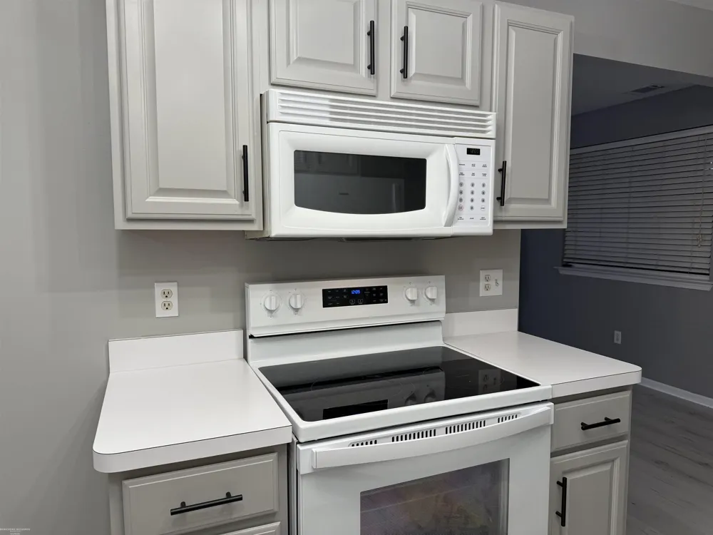 50101 S Horst Court Chesterfield Township, MI 48047