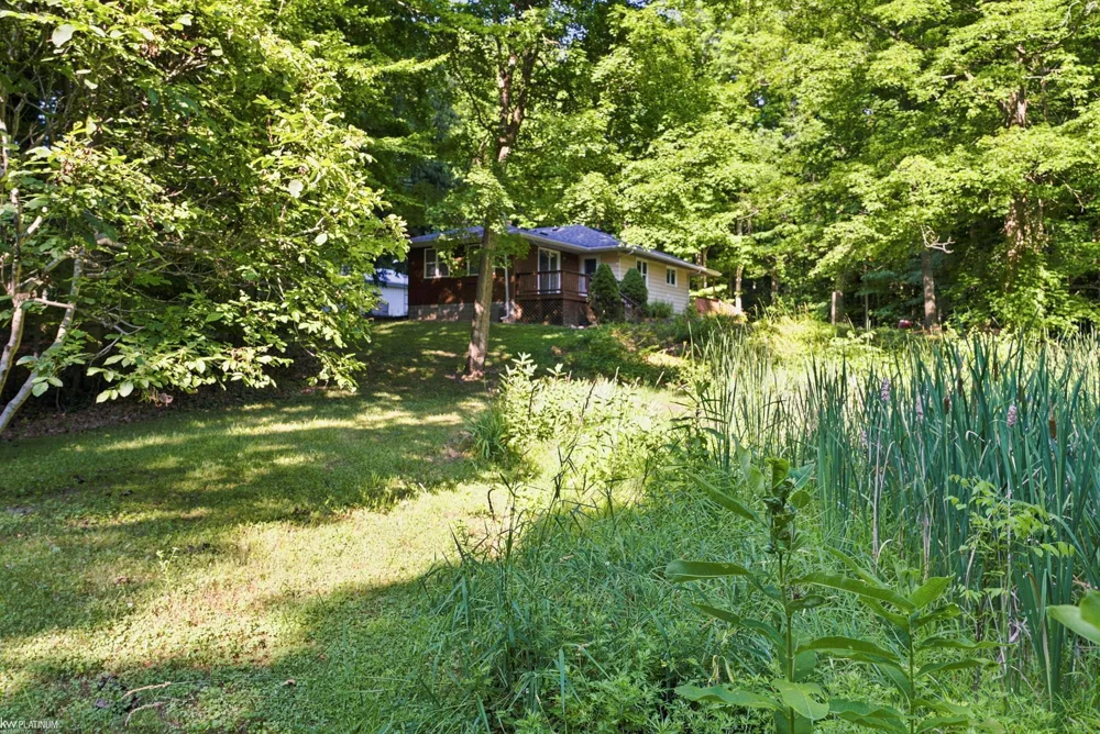 3603 Wixson Road Lexington Township, MI 48422