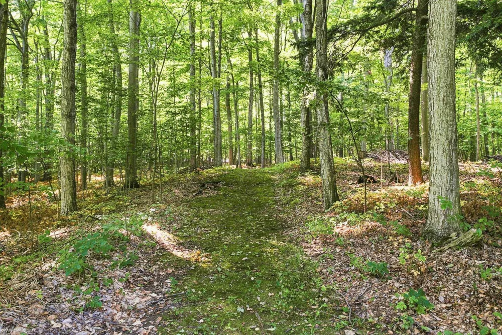 3603 Wixson Road Lexington Township, MI 48422
