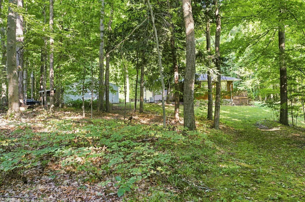 3603 Wixson Road Lexington Township, MI 48422