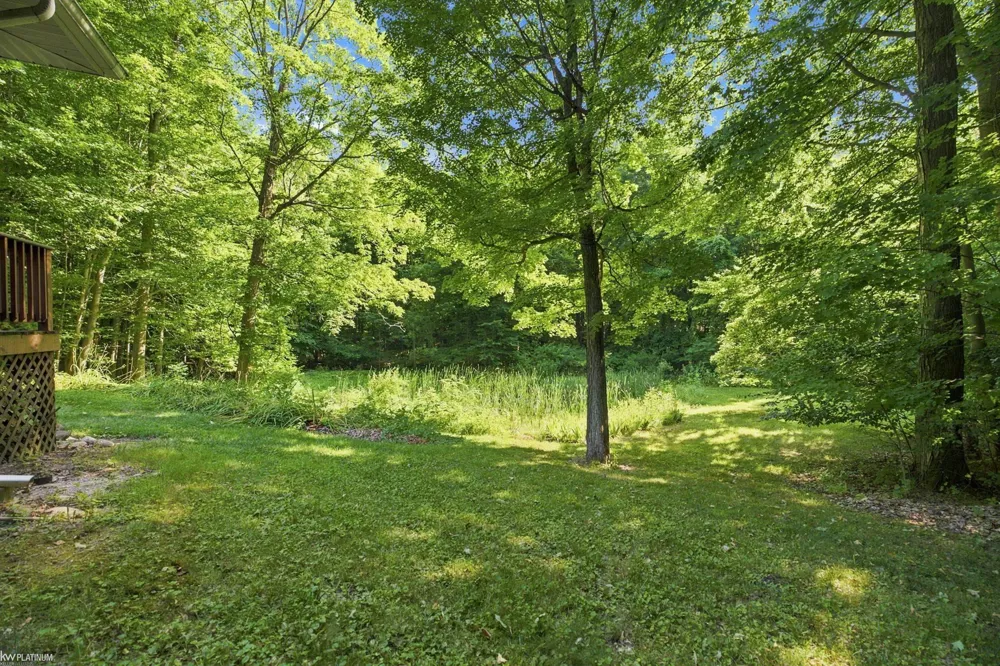 3603 Wixson Road Lexington Township, MI 48422