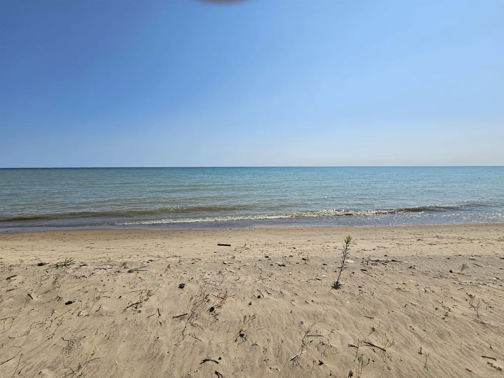 2209 Lakeshore Road Forester Township, MI 48419