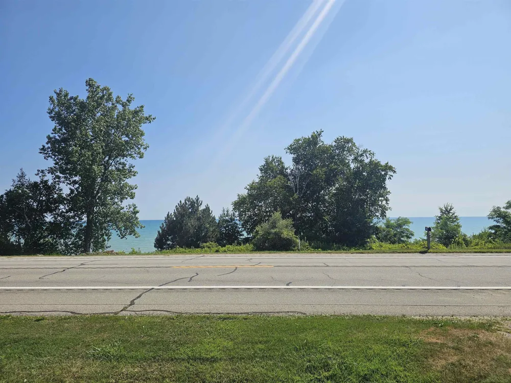2209 Lakeshore Road Forester Township, MI 48419
