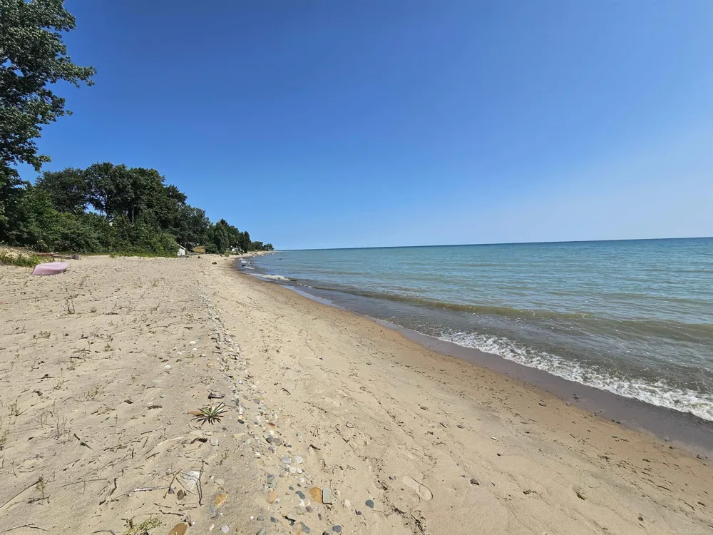 2209 Lakeshore Road Forester Township, MI 48419