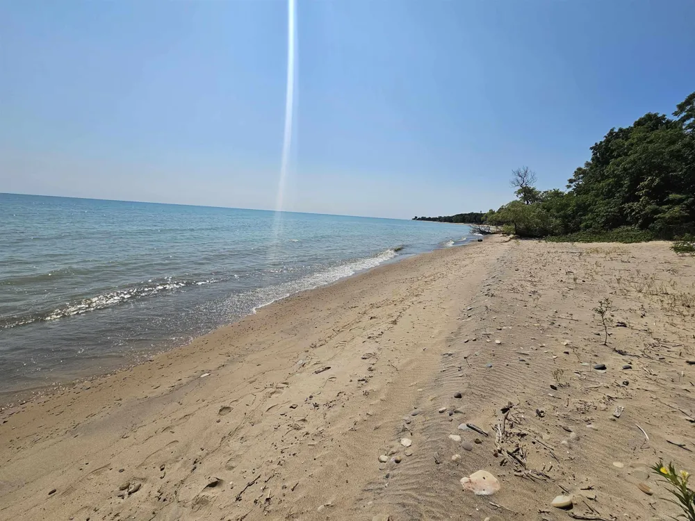 2209 Lakeshore Road Forester Township, MI 48419
