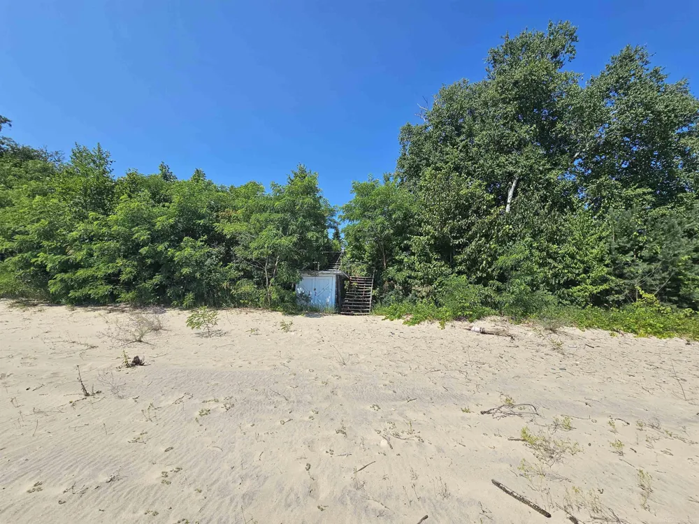 2209 Lakeshore Road Forester Township, MI 48419