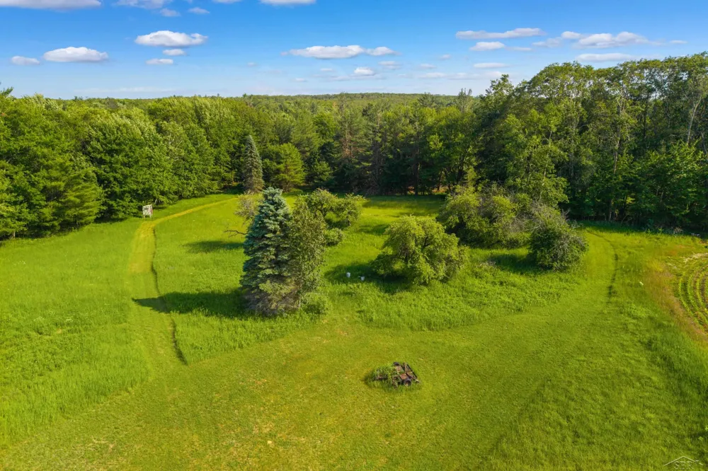 4248 Procunier Road Harrisville Township, MI 48745