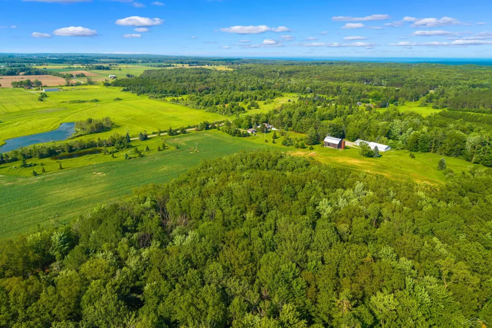 4248 Procunier Road Harrisville Township, MI 48745