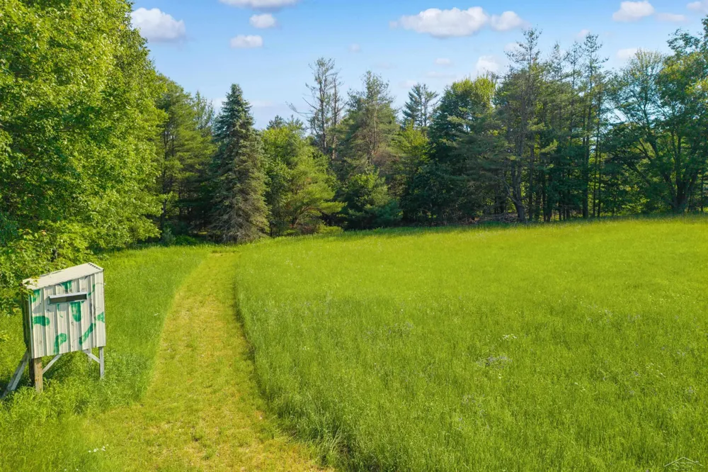 4248 Procunier Road Harrisville Township, MI 48745