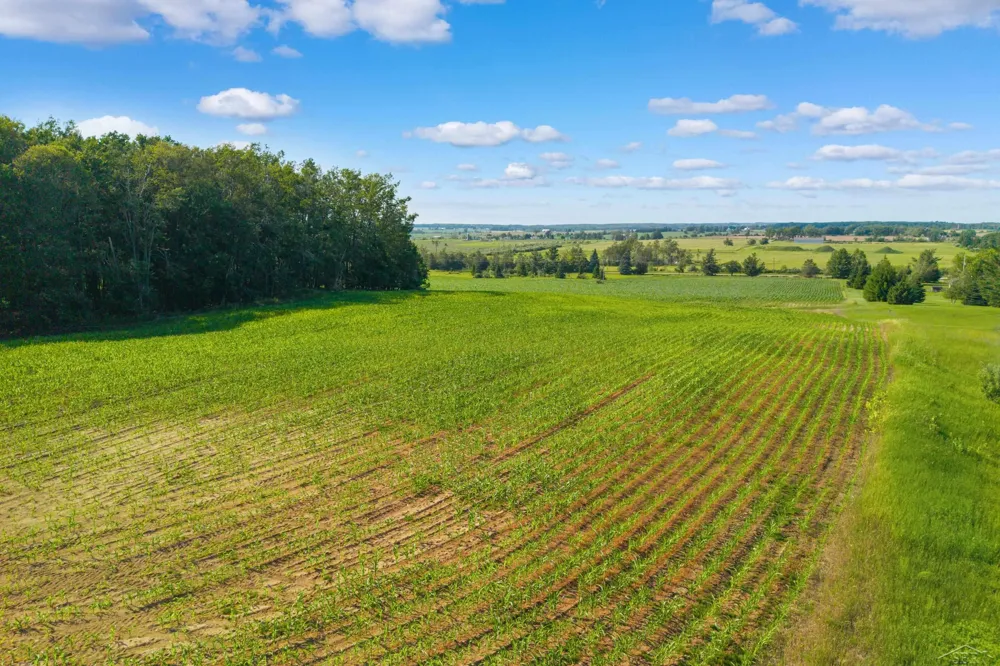 4248 Procunier Road Harrisville Township, MI 48745