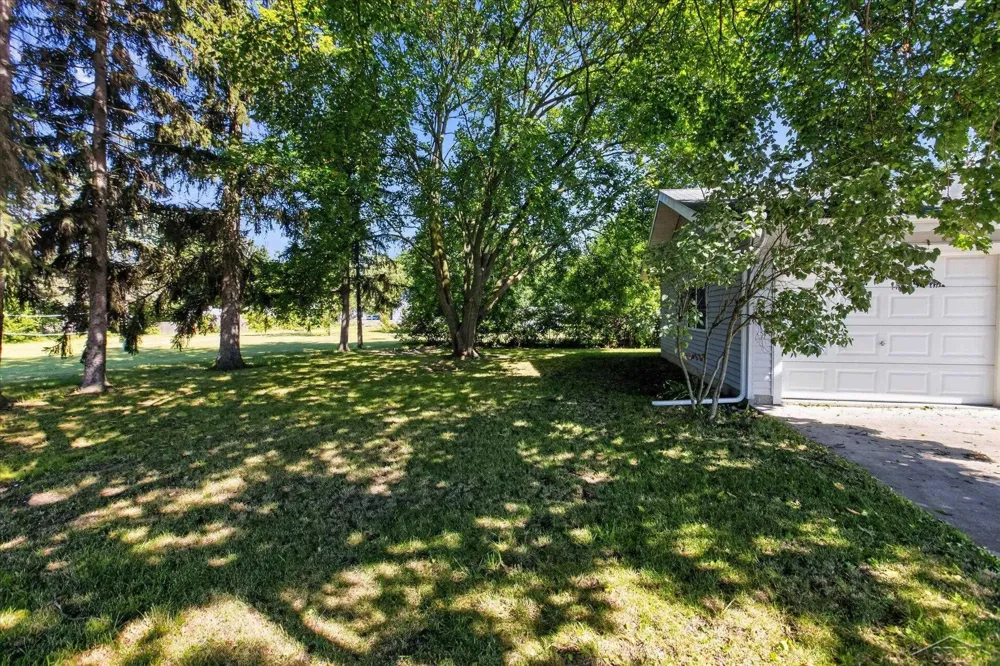 3228 Phelps Street Unionville Village, MI 48767