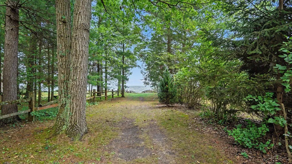 278 Huron Hills Drive Baldwin Township, MI 48730