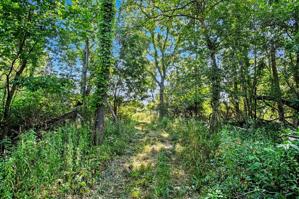 11159 Gravel Ridge Road Winfield Township, MI 48850