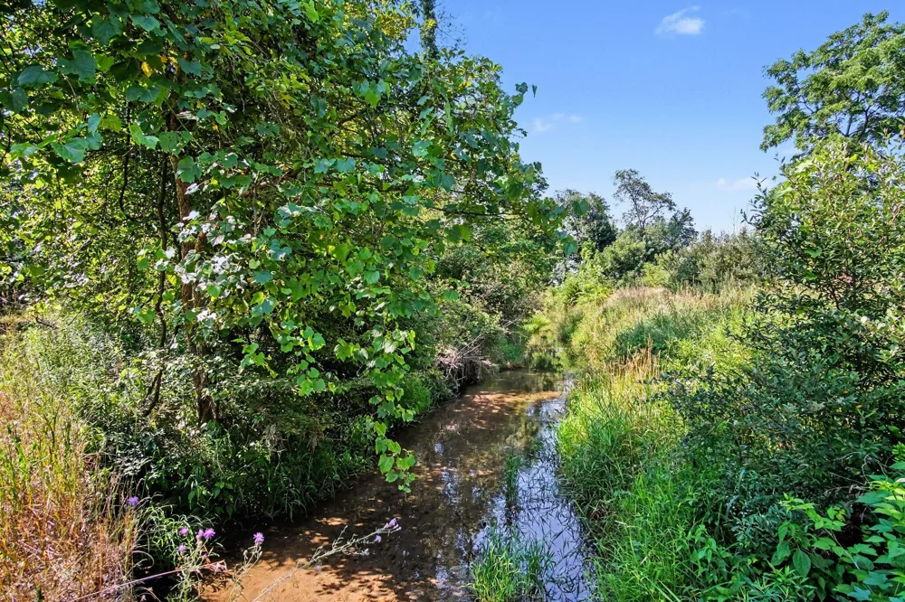 11159 Gravel Ridge Road Winfield Township, MI 48850