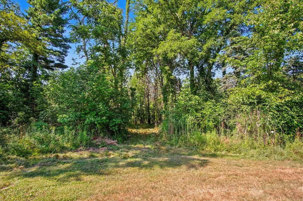 11159 Gravel Ridge Road Winfield Township, MI 48850