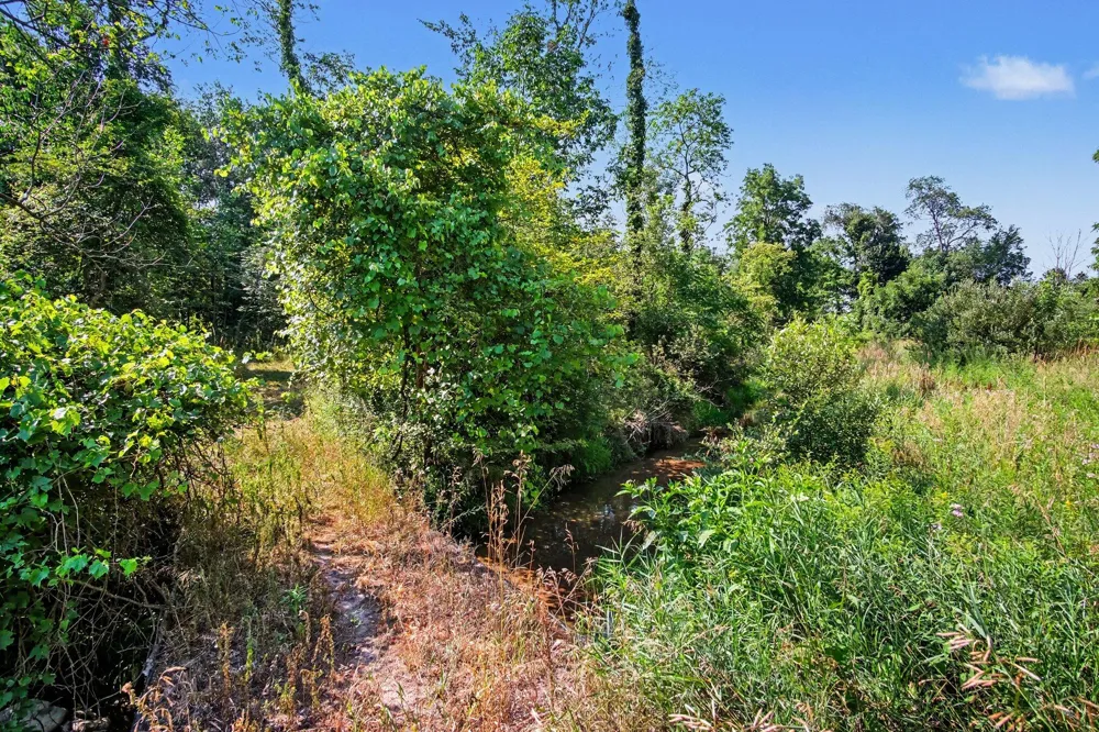 11159 Gravel Ridge Road Winfield Township, MI 48850