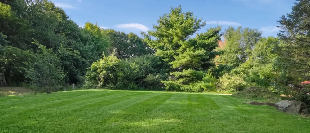 10219 W Sidney Road Montcalm Township, MI 48838