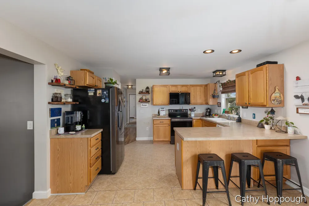 918 Emerald Circle Lake Odessa Village, MI 48849
