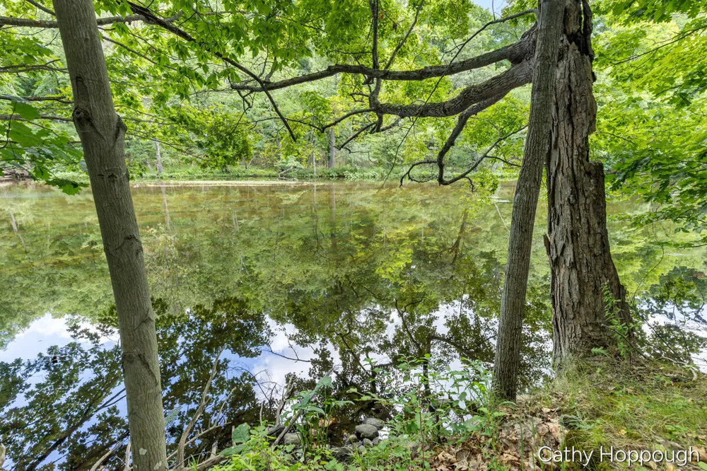 8687 River Run Trail Eureka Township, MI 48838