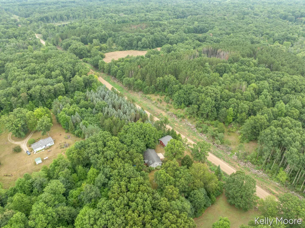 11856 Berridge Road Eureka Township, MI 48838