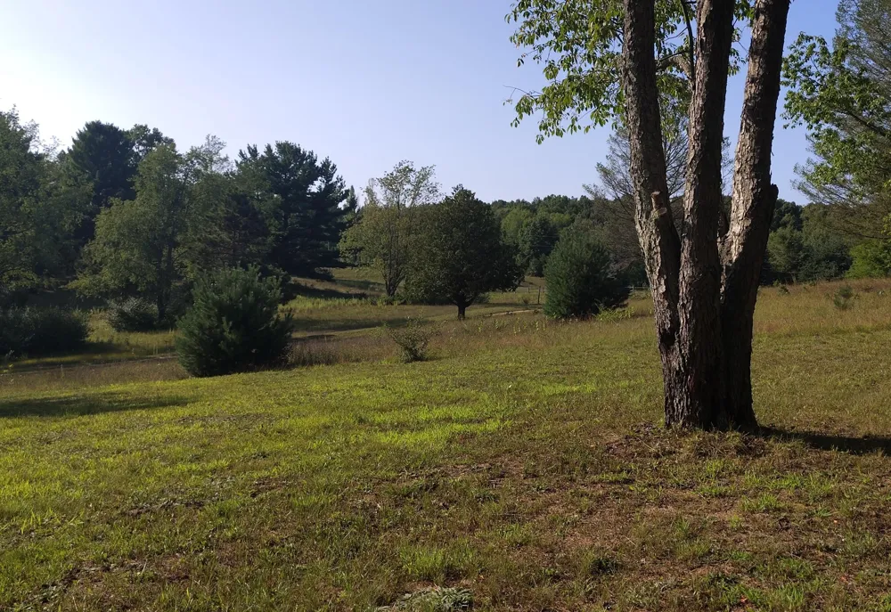 6809 W Deer Road Golden Township, MI 49436