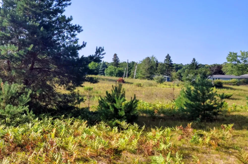 6809 W Deer Road Golden Township, MI 49436