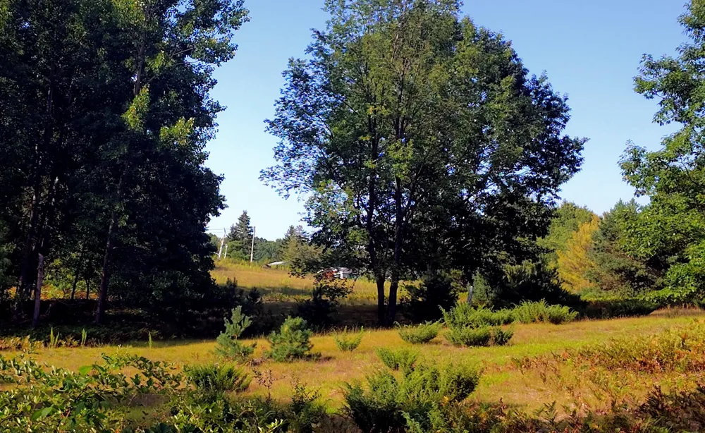 6809 W Deer Road Golden Township, MI 49436