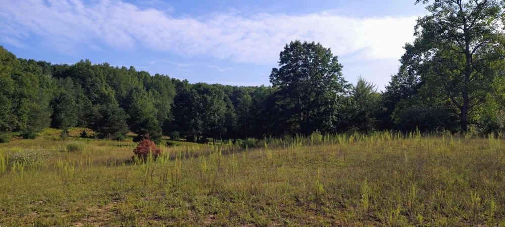 6809 W Deer Road Golden Township, MI 49436