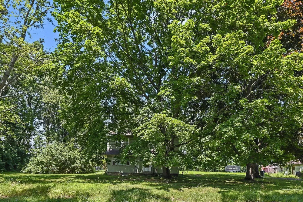 2430 W Kimmel Road Summit Township, MI 49201
