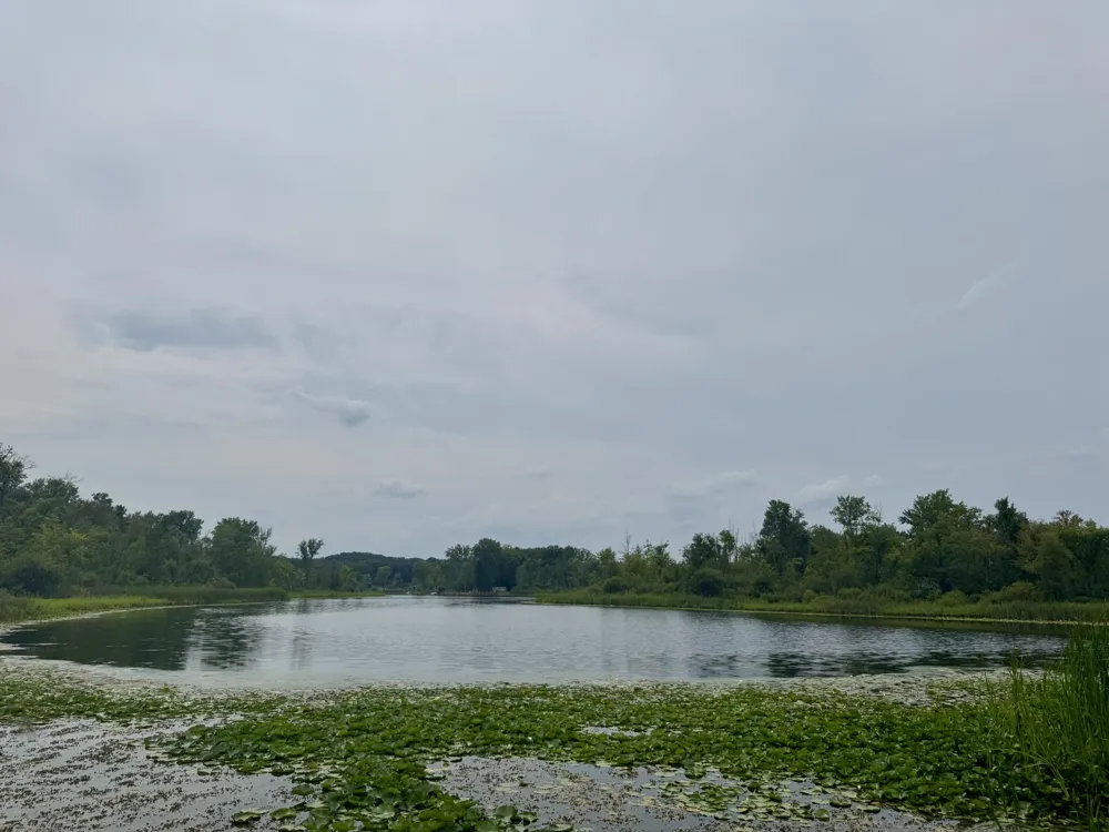 106 Little Long Lake Drive Castleton Township, MI 49073