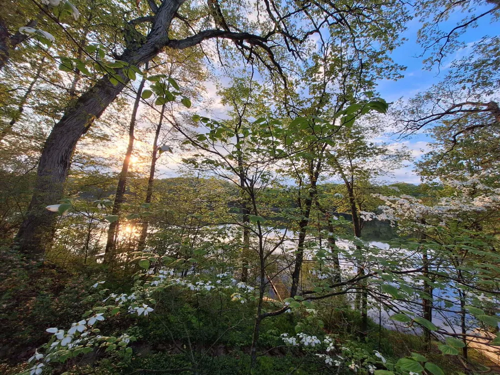 5980 McKibben Road Orangeville Township, MI 49046