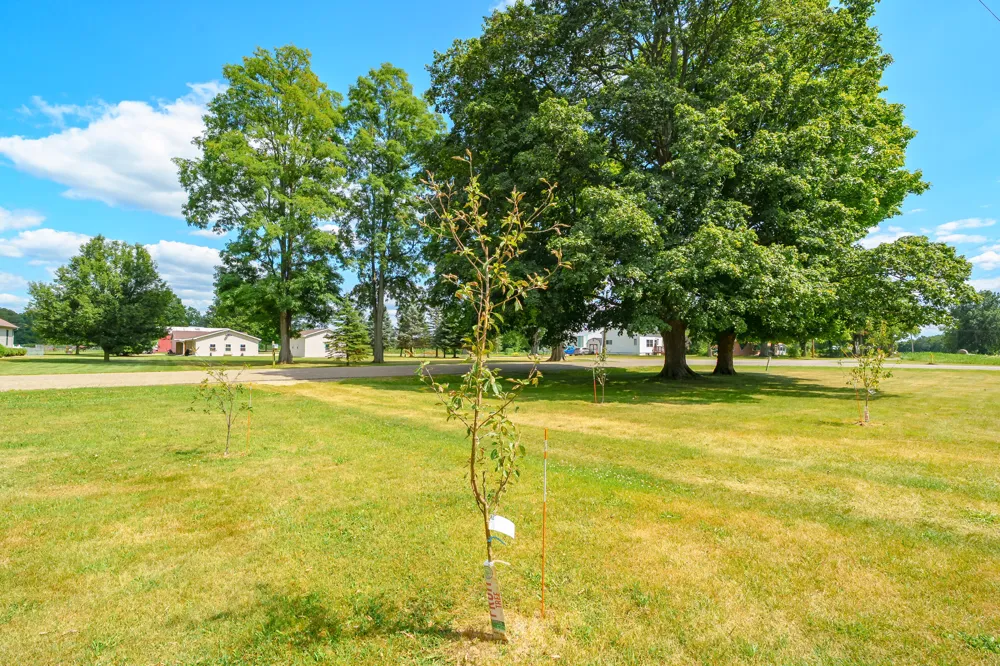 6521 5 Mile Road Leroy Township, MI 49051