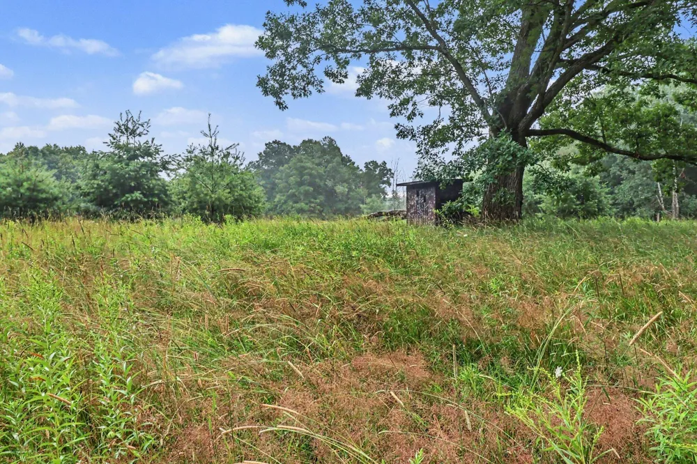 16465 Flarity Road Dickson Township, MI 49619