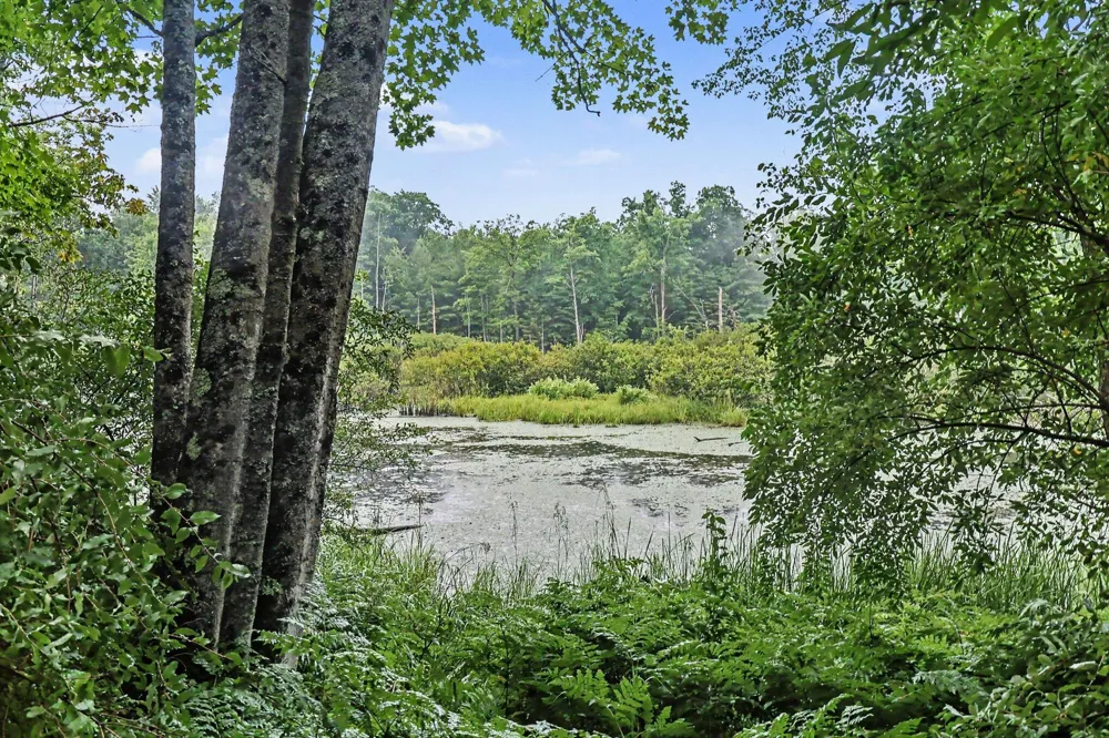16465 Flarity Road Dickson Township, MI 49619