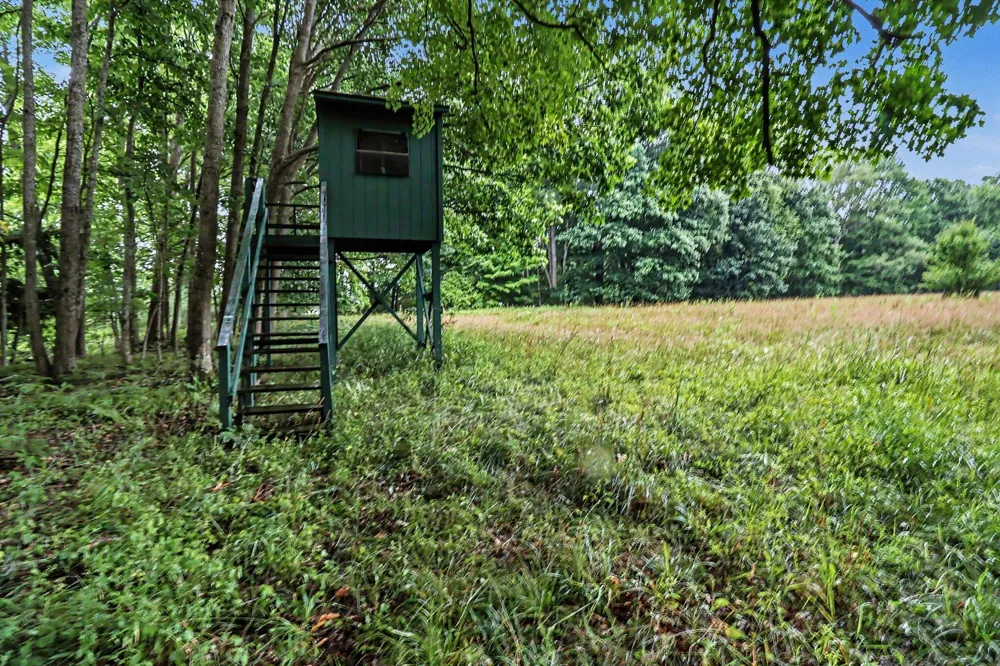 16465 Flarity Road Dickson Township, MI 49619