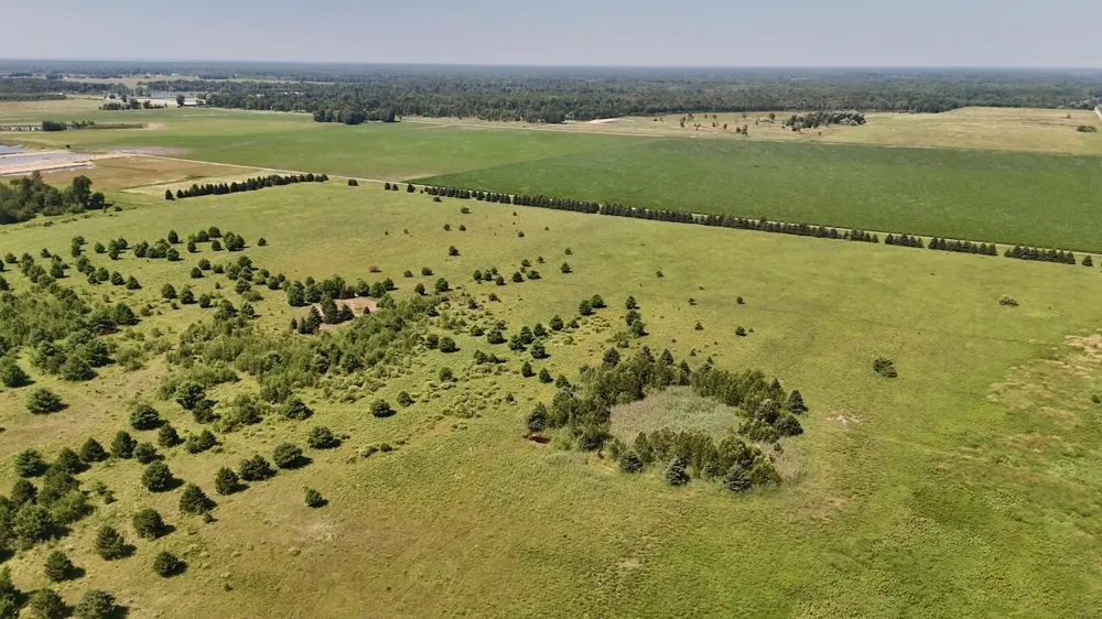 1824 W Bessinger Road Au Gres Township, MI 48765