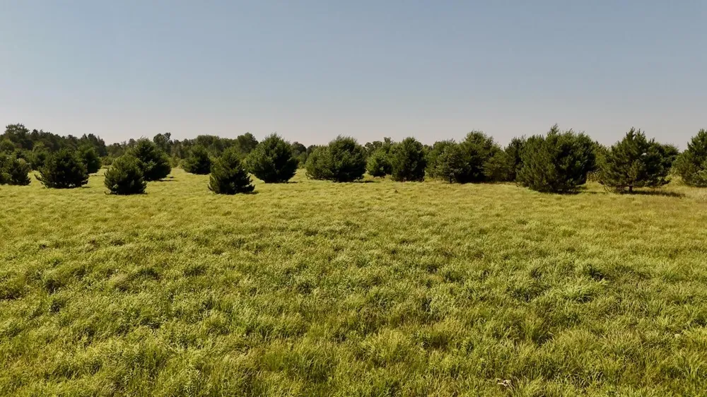 1824 W Bessinger Road Au Gres Township, MI 48765