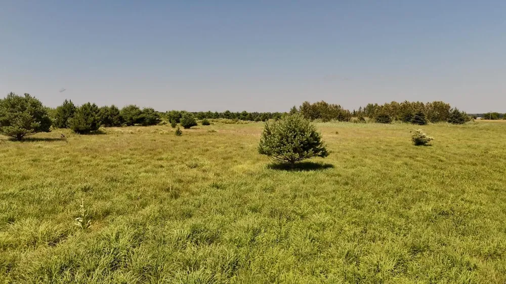 1824 W Bessinger Road Au Gres Township, MI 48765