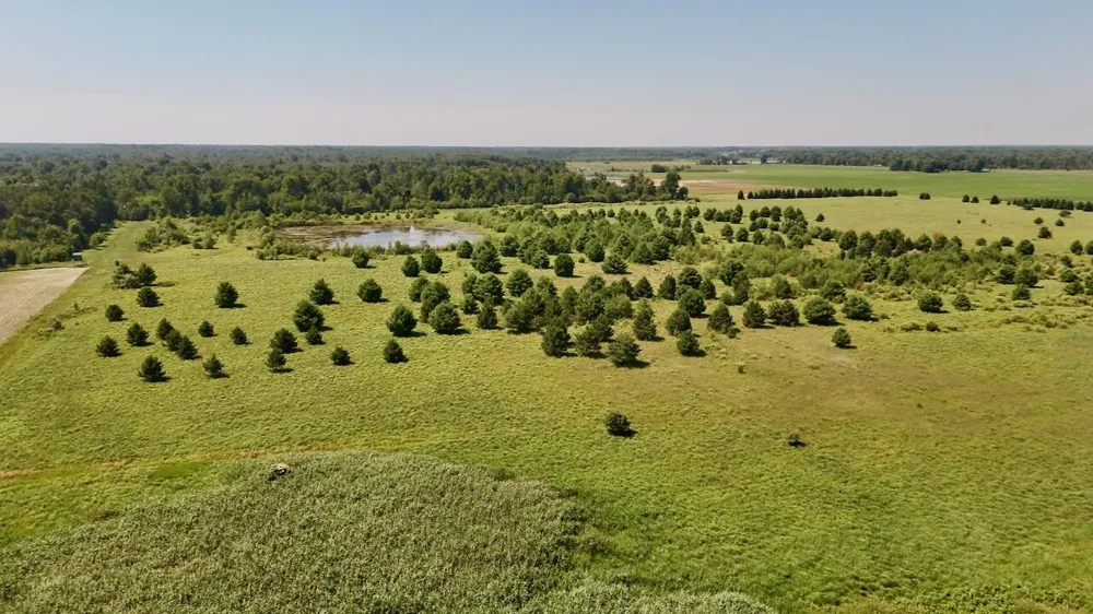 1824 W Bessinger Road Au Gres Township, MI 48765