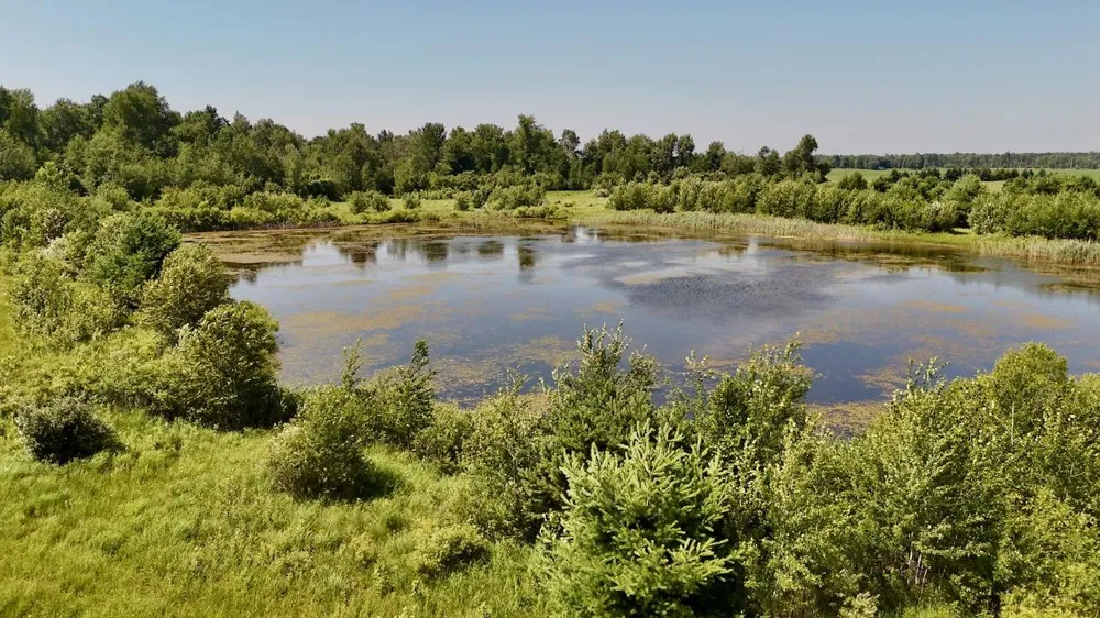 1824 W Bessinger Road Au Gres Township, MI 48765