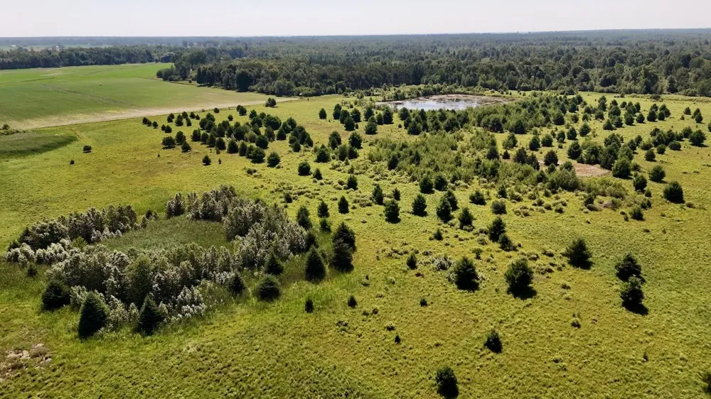 1824 W Bessinger Road Au Gres Township, MI 48765