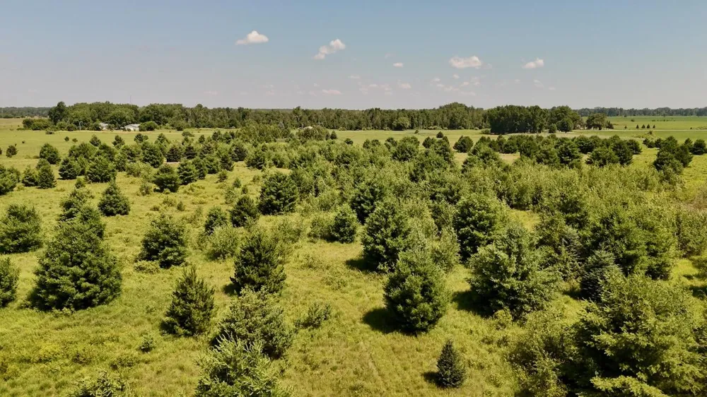 1824 W Bessinger Road Au Gres Township, MI 48765