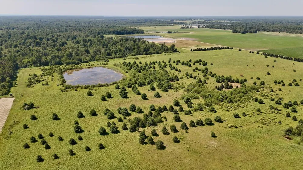 1824 W Bessinger Road Au Gres Township, MI 48765