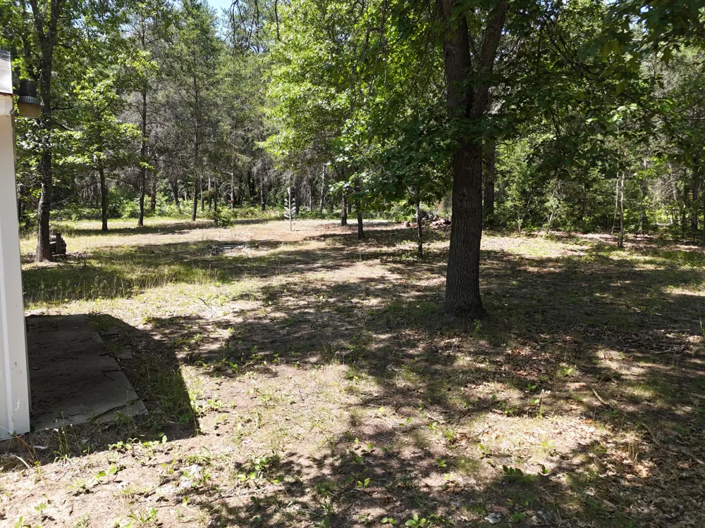 694 S Tippy Dam Road Norman Township, MI 49689