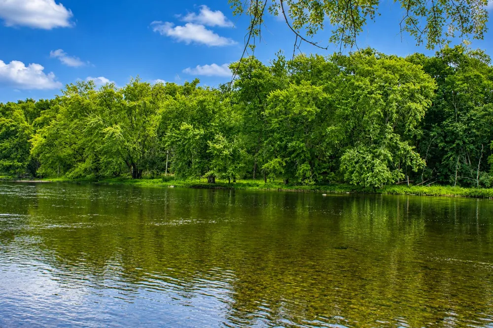 17045 Old Logging Trail Road Green Charter Township, MI 49639