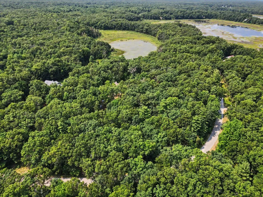 3748 S Sweet Lake Drive Cedar Creek Township, MI 49457