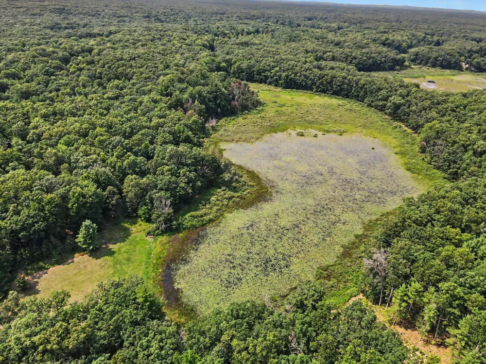 3748 S Sweet Lake Drive Cedar Creek Township, MI 49457