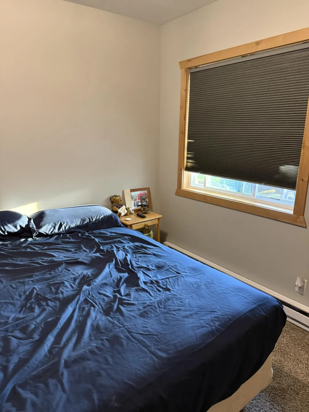 10456 S Ferris Avenue Ashland Township, MI 49327