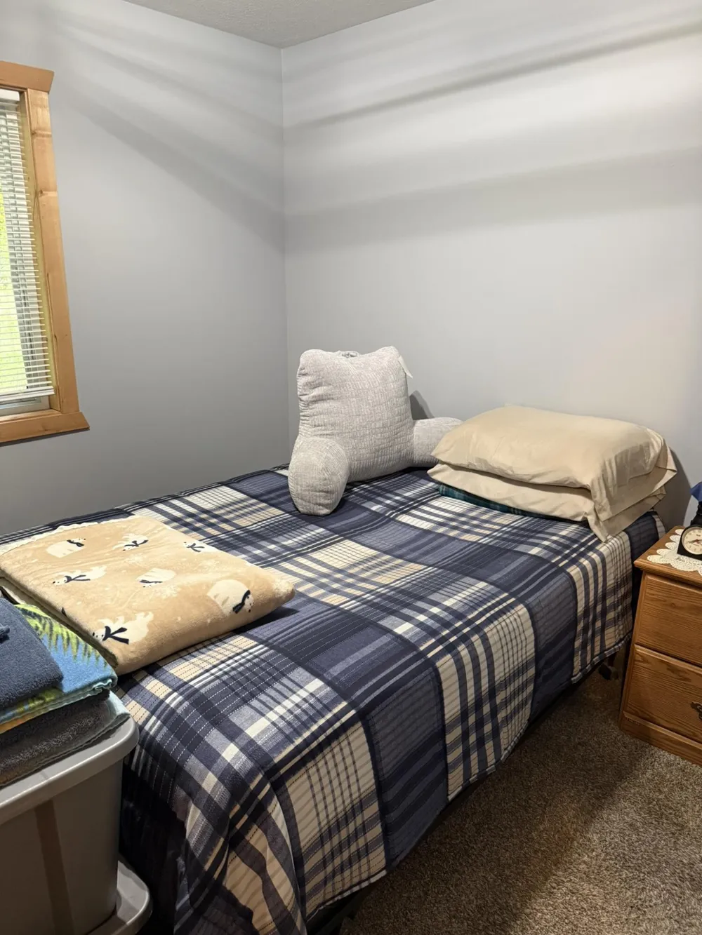 10456 S Ferris Avenue Ashland Township, MI 49327