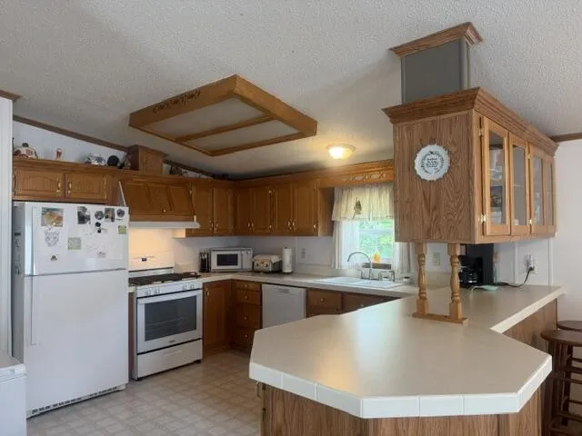 653 S Bluegill Lane Brooks Township, MI 49337